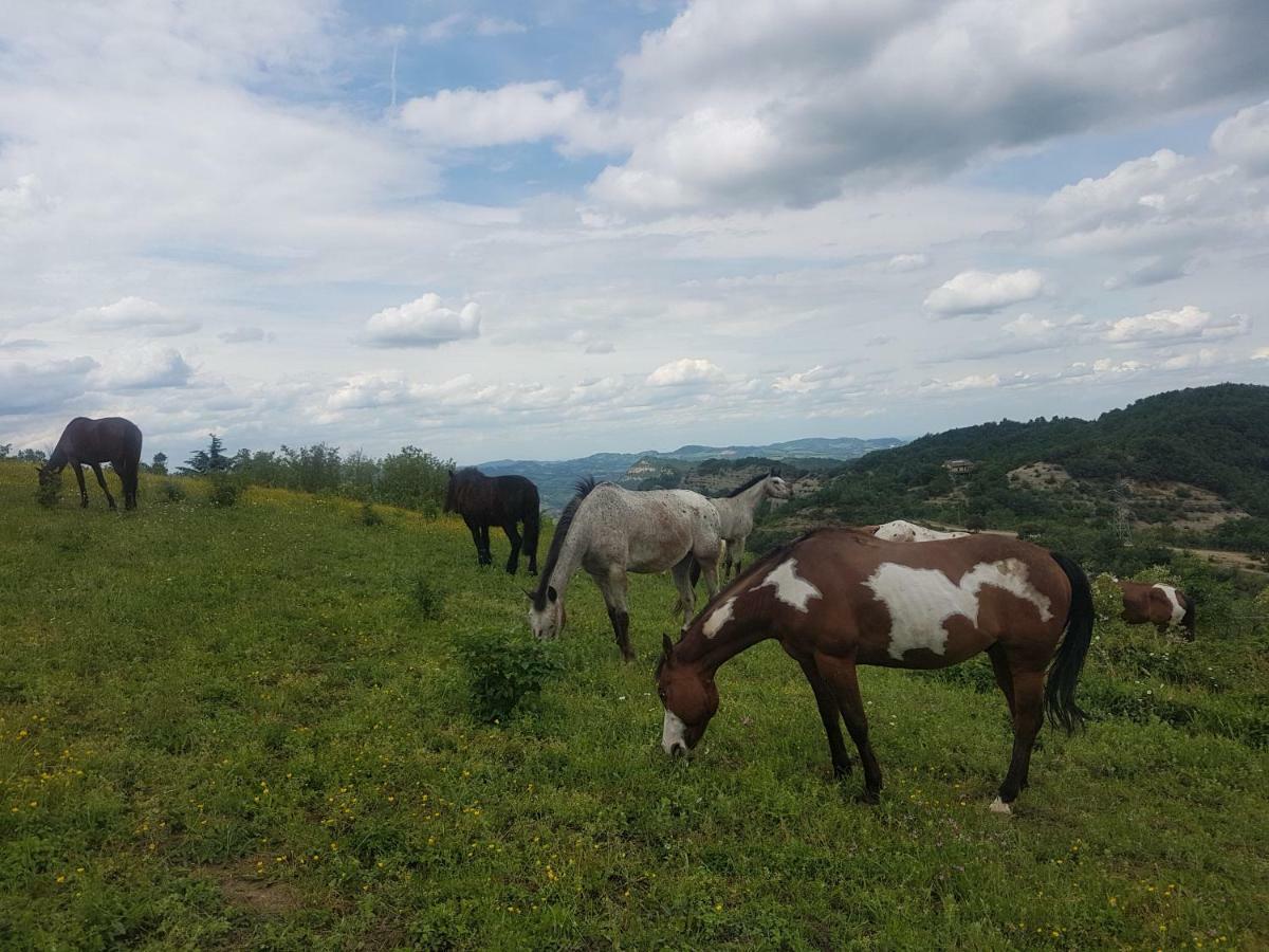 Agriturismo Piccola Raieda Villa ซาสโซ มาร์โคนิ ภายนอก รูปภาพ